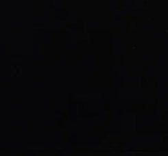 Bohotusk Kids Tree of Life Cotton T-Shirt 3 to 13 Years (7 Colours)